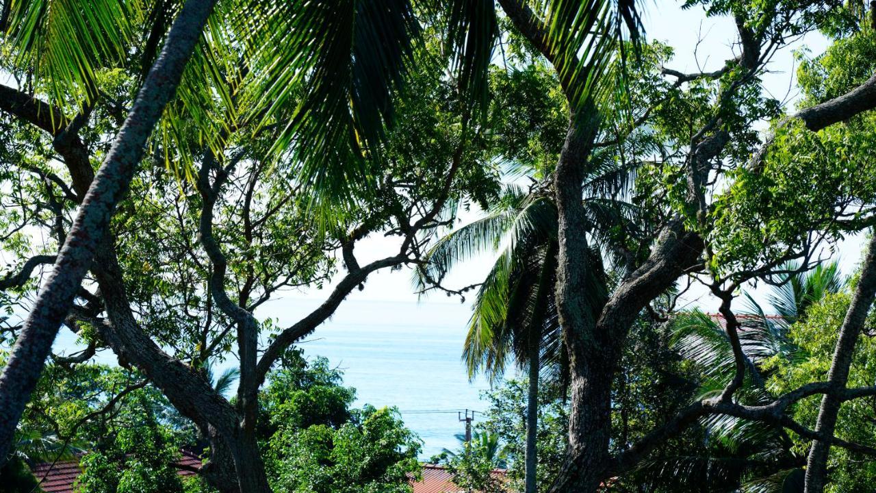 Sea Bay Inn Tangalle Buitenkant foto