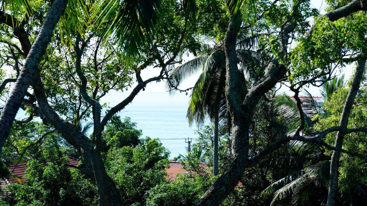 Sea Bay Inn Tangalle Buitenkant foto