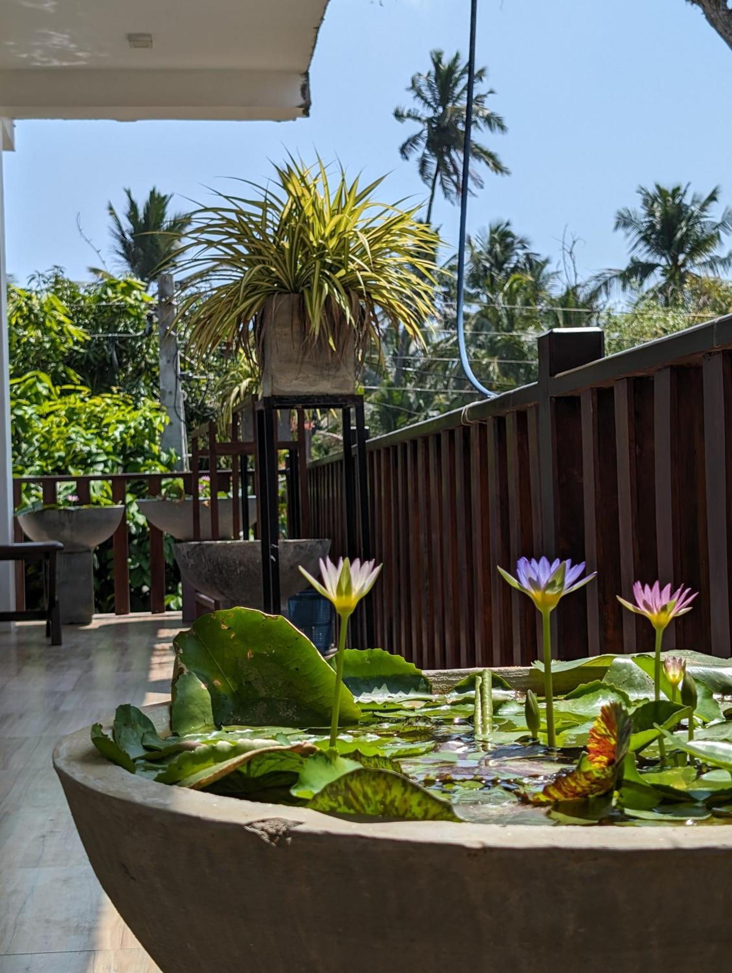 Sea Bay Inn Tangalle Buitenkant foto